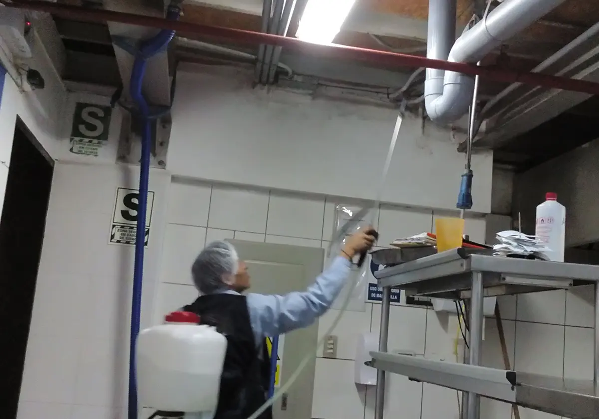 Renovación de Muebles